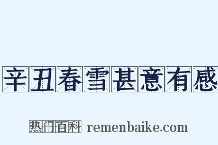 辛丑春雪甚意有感是什么意思的图片